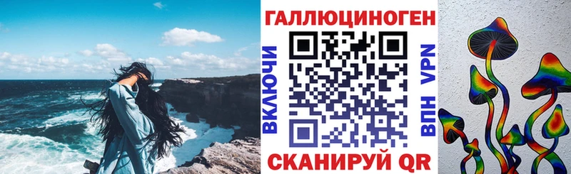 площадка состав  Сысерть  Псилоцибиновые грибы Cubensis 
