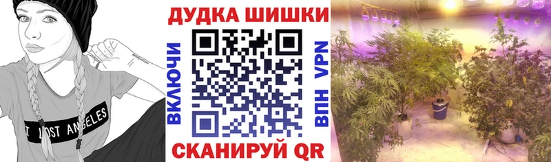 гидра зеркало  Сысерть  Конопля Bruce Banner  наркотики 